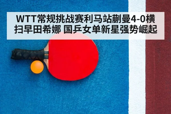 ping pong racket